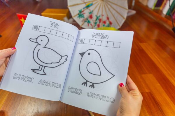 LIBRO DA COLORARE MULTILINGUE Cinese-Inglese-Italiano - immagine 3